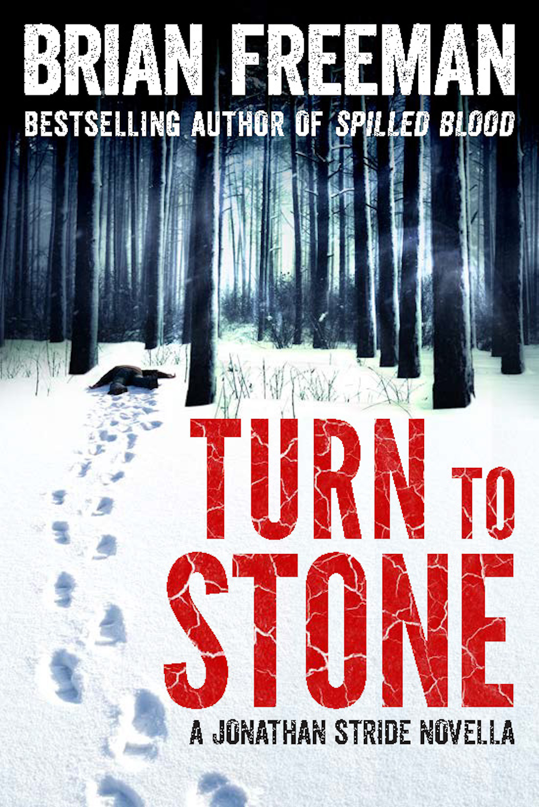 turn-to-stone-cover_website